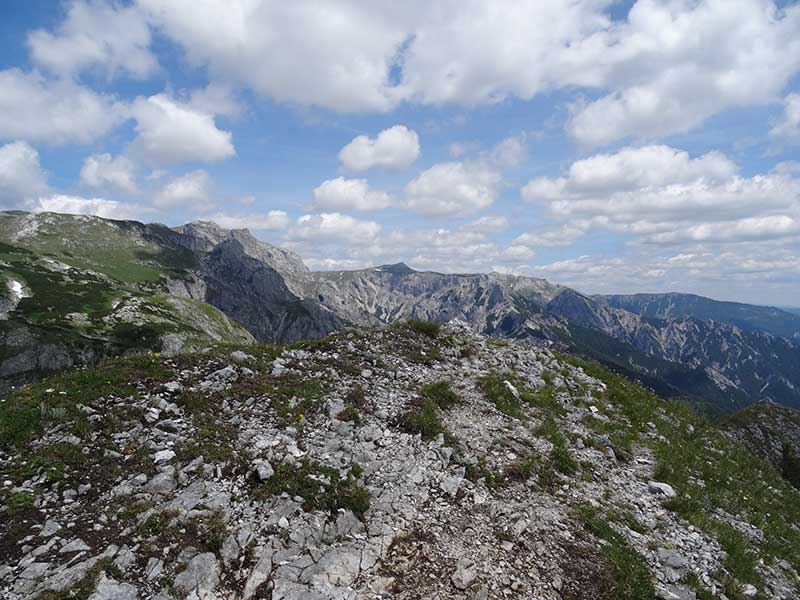 Buchbergkogel